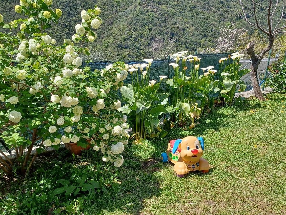 Casa Canepa Villa Sori Bagian luar foto
